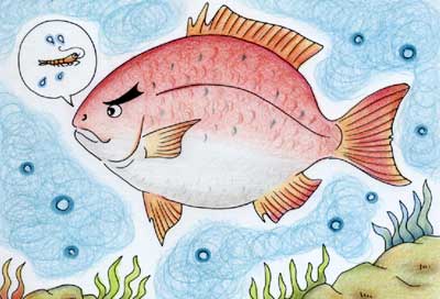 相生市の昔話（15）-えびの腰のまがった話